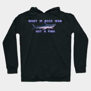 What if Ecco Hoodie